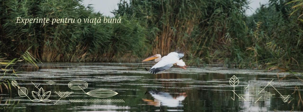 Pensiunea Nest Dunavăţu de Jos Kültér fotó