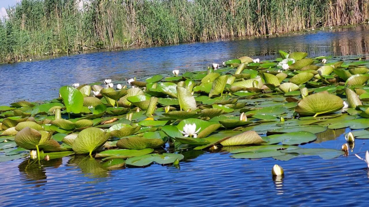 Pensiunea Nest Dunavăţu de Jos Kültér fotó