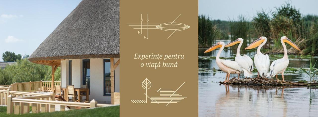 Pensiunea Nest Dunavăţu de Jos Kültér fotó